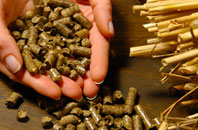 free West Camel biomass boiler quotes